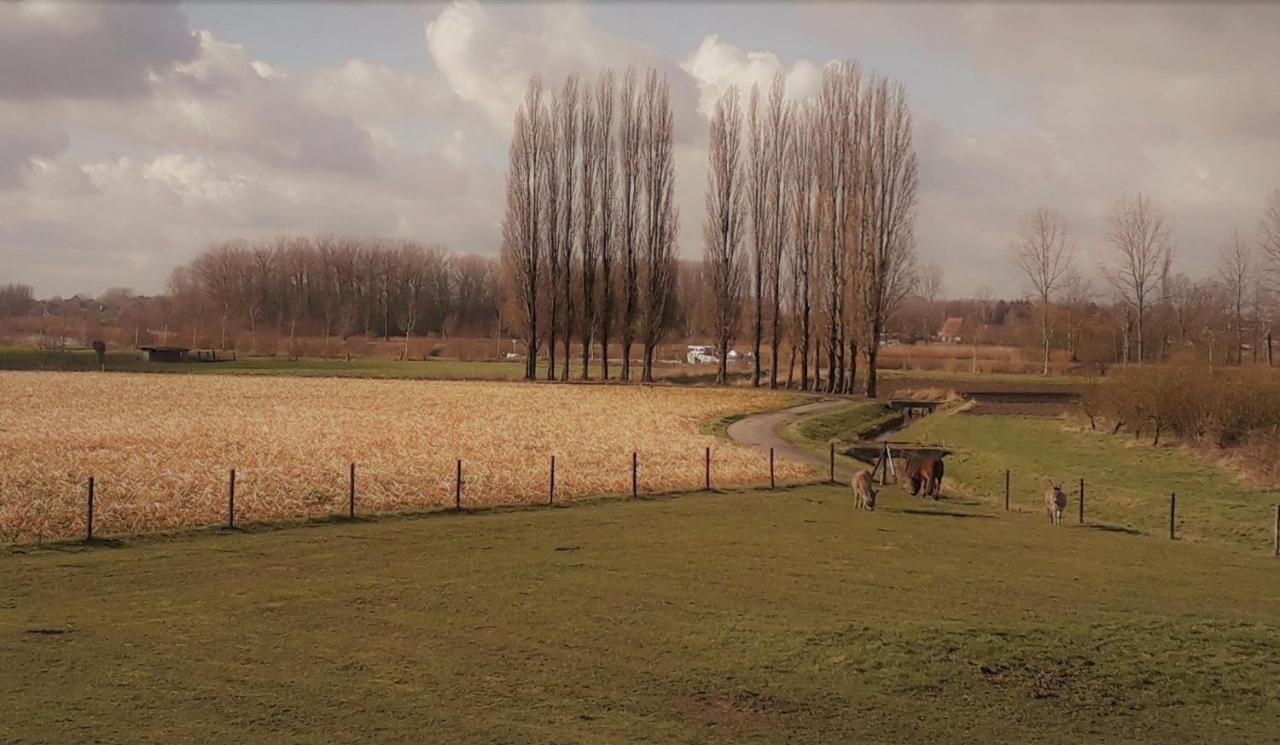 Op 'T Roth Oudenaarde Exterior foto